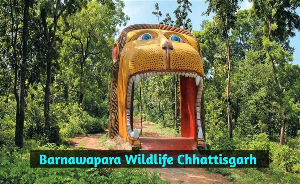 Barnawapara Wildlife Sanctuary | A Hidden Gem in Chhattisgarh