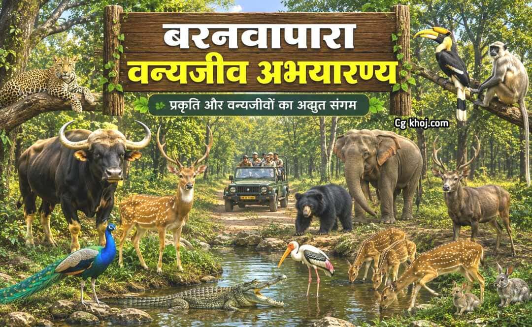 Barnawapara Wildlife Sanctuary | A Hidden Gem in Chhattisgarh