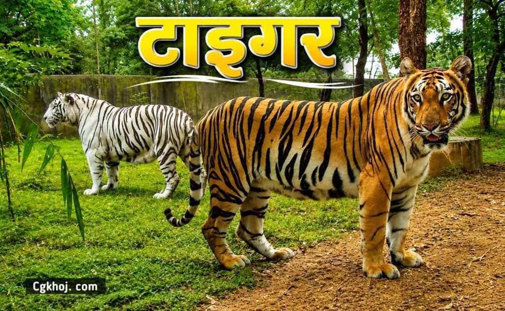 Kanan Pendari Zoo Bilaspur